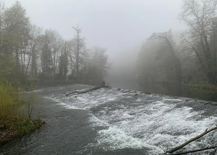 Auf der Zschopau-Insel