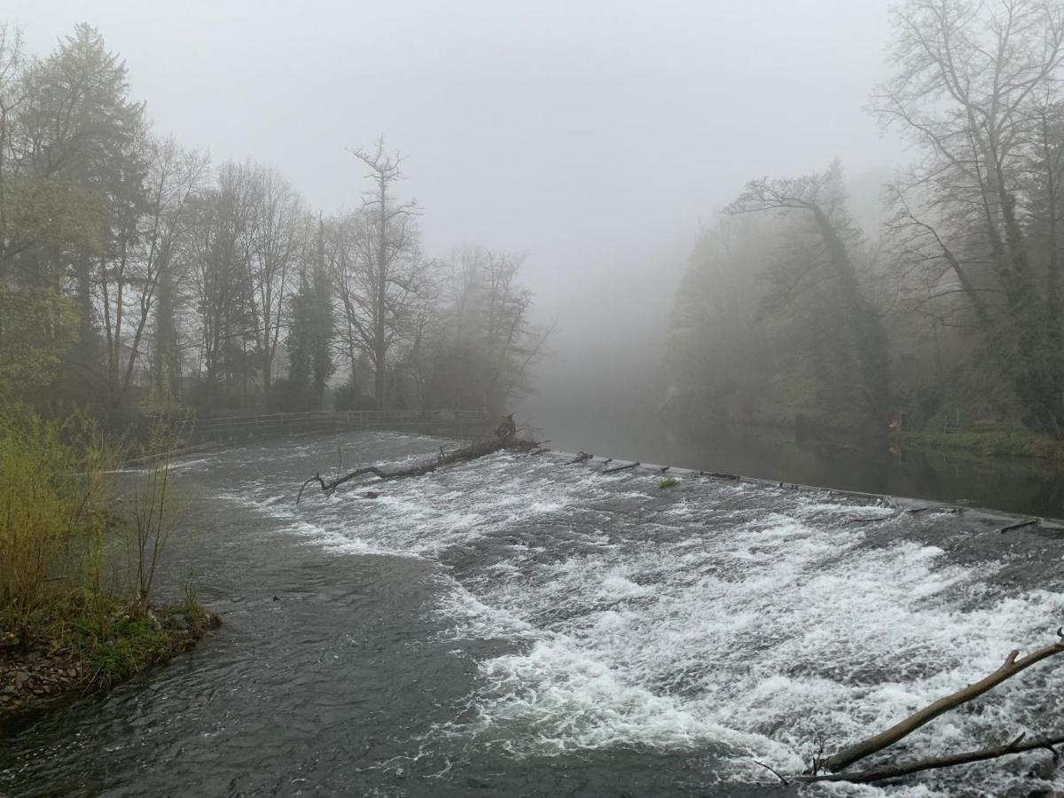 Auf Der Zschopau-insel Zschopau