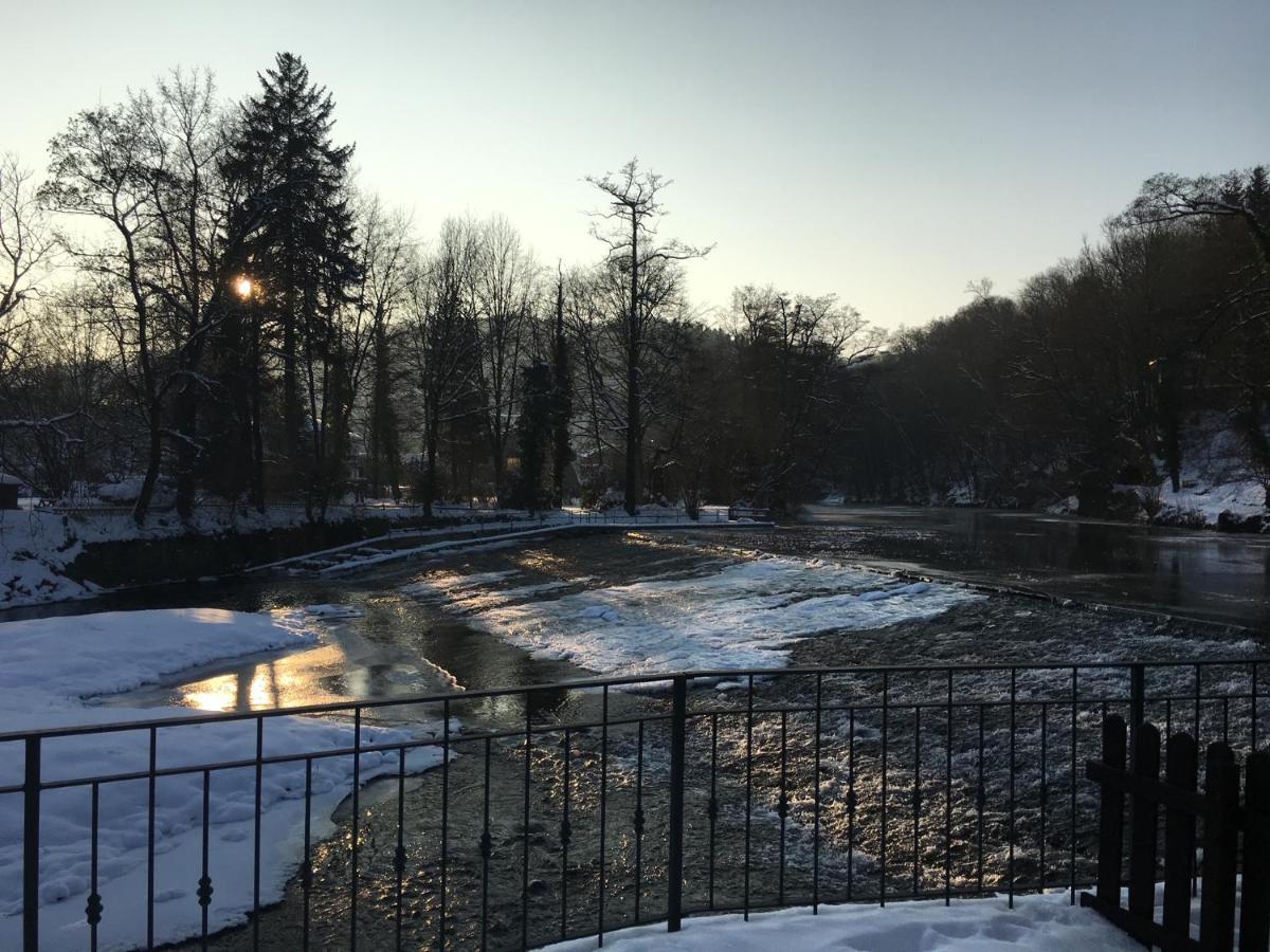 Auf Der Zschopau-insel Zschopau